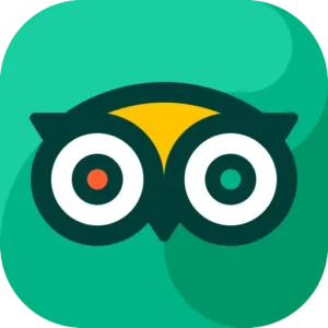 Gold TripAdvisor Reviews